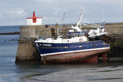 NAVIRE DE PECHE